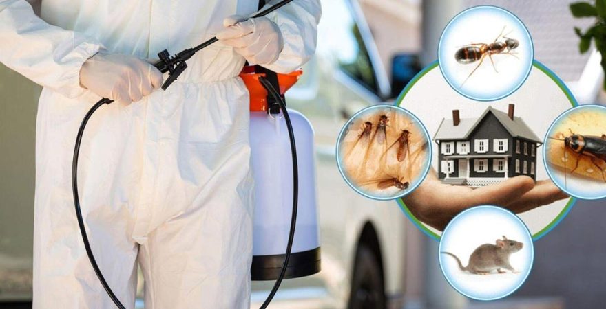 Mihalıççık Böcek İlaçlama