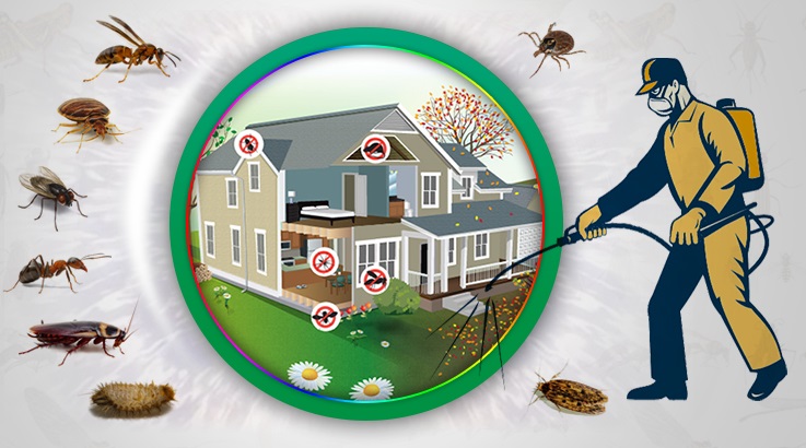 Mihalıççık Böcek İlaçlama