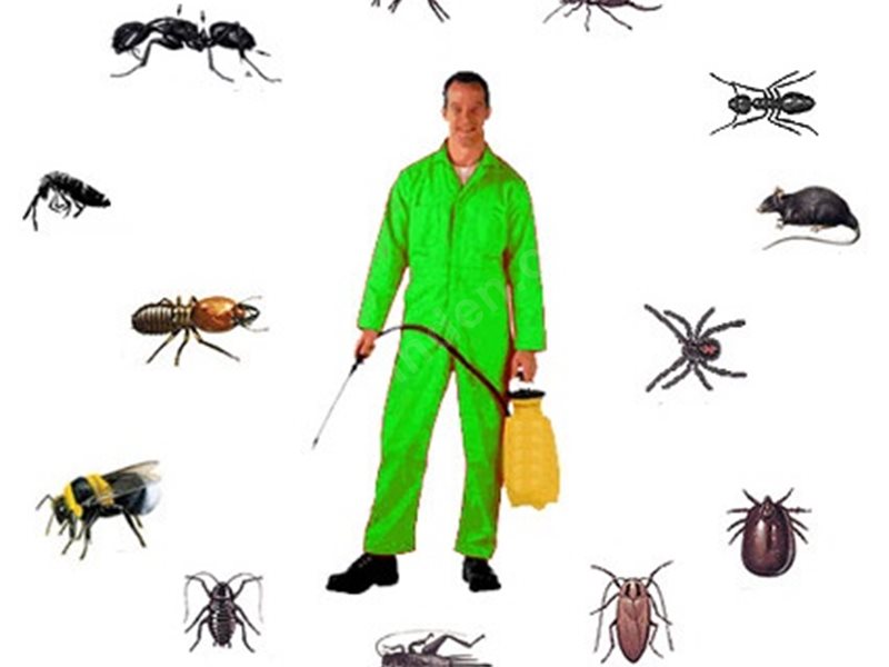 Mihalıççık Böcek İlaçlama